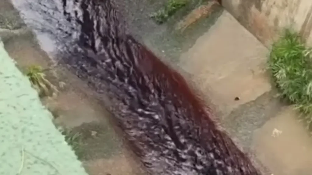 Água vermelha em rio de Catalão gera suspeita de contaminação