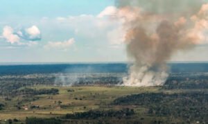 Pará tem mais da metade dos focos de incêndio no Brasil