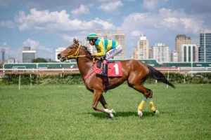 Jockey Club de São Paulo firma acordo com prefeitura para manter corridas e criar parque