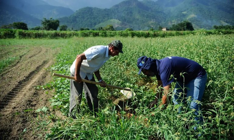 Lei fortalece seguro rural e tenta destravar Fundo Catástrofe